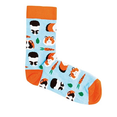 Vegane Socken | KABAK Socks Guinea Pig